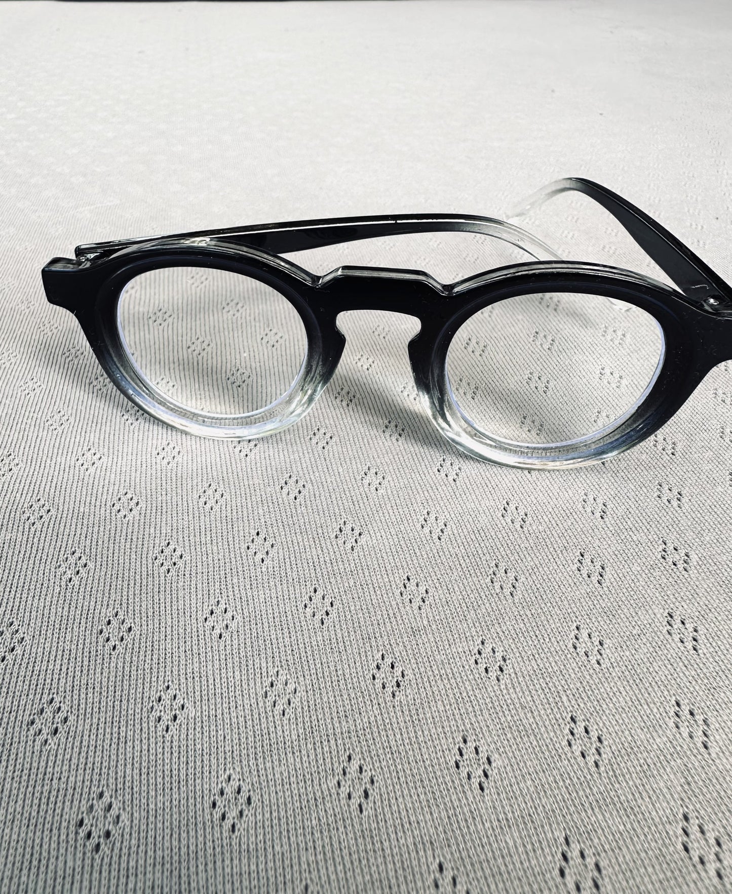 258119 Elise premium reading glasses
