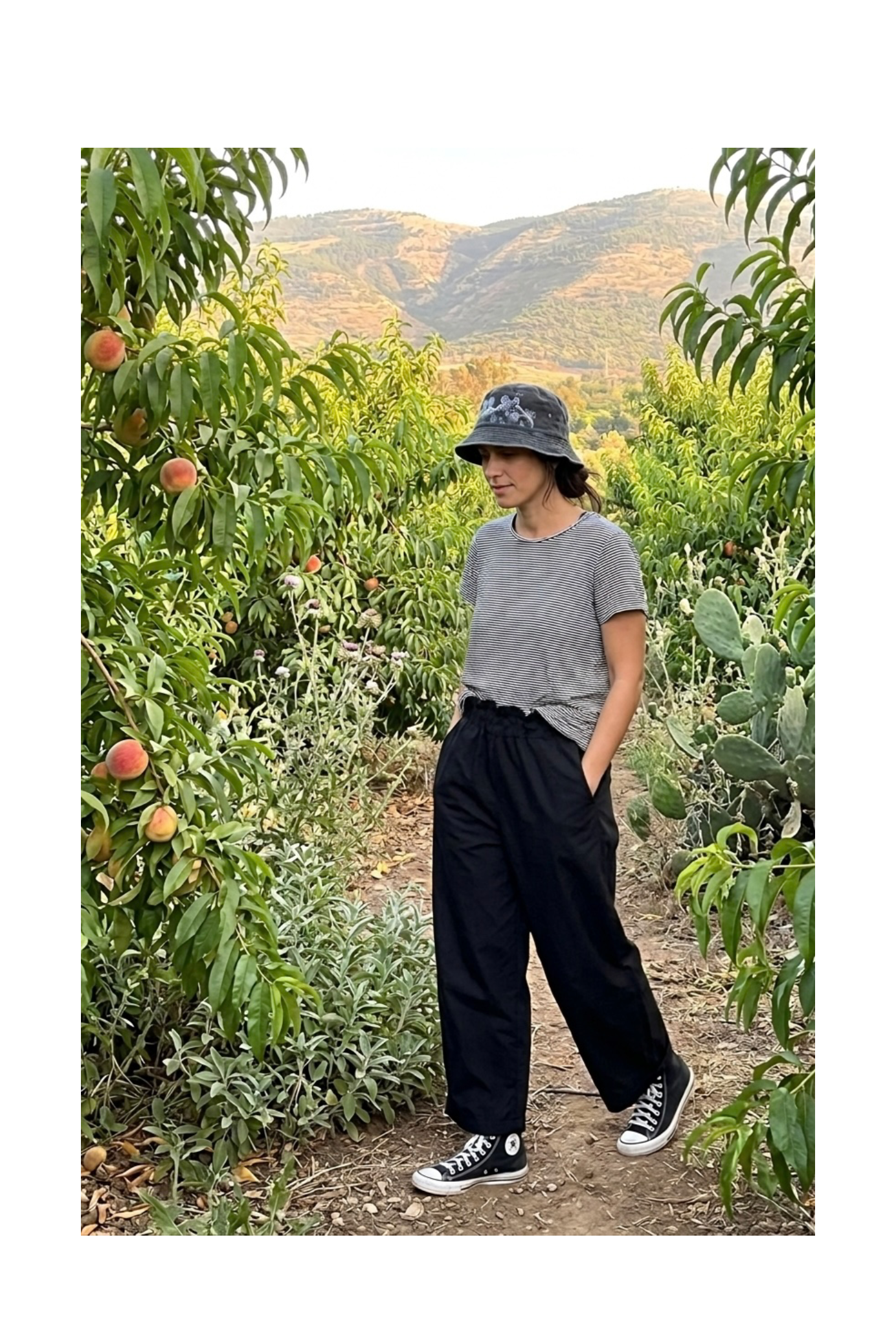 New! 231100 Rotem Pants